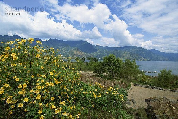 Blick von San Pedro La Laguna in Richtung Lake Atitlan  Guatemala  Zentralamerika