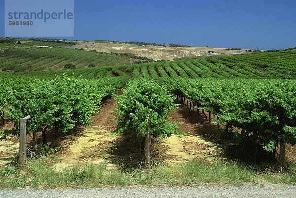 Weingut Coriole  McLaren Vale  Australien  Australien  Pazifik