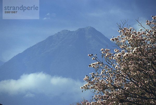 Die 3760m Volcan Agua  über Antigua  Guatemala  Zentralamerika