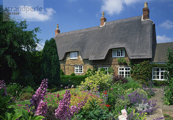 Europa Blume Sommer Großbritannien Garten Landhaus Reetdach England voll Hampshire