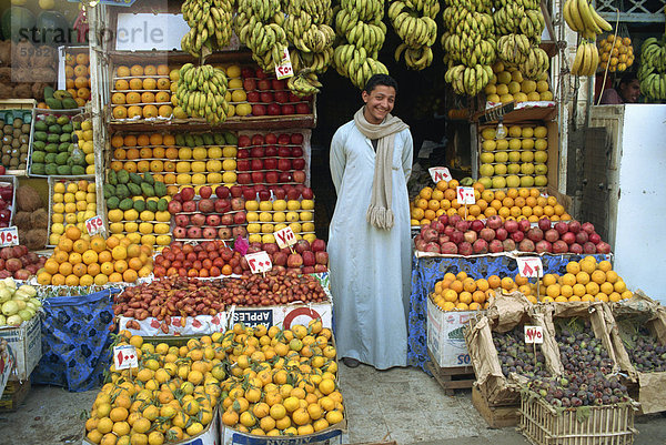 Lächelnd obst Abwürgen Besitzer  Kairo  Ägypten  Nordafrika  Afrika