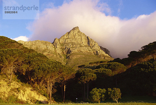 Tafelberg  Kapstadt  Südafrika  Afrika