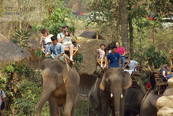 Touristen nehmen Elefanten reiten auf Elefanten Show  in der Nähe von Chiang Mai  Thailand  Südostasien  Asien