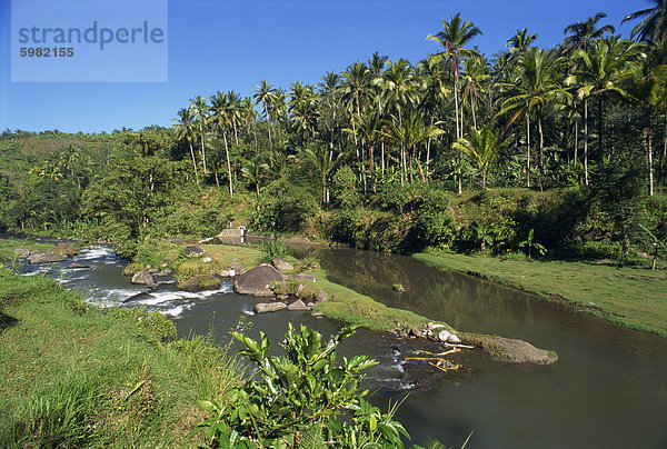 Flusstal bei Kupa Kupa Barong  in der Nähe von Ubud  Bali  Indonesien  Südostasien  Asien