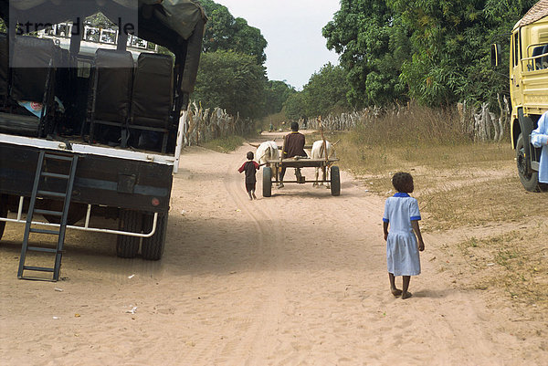 Straße durch das Dorf in der Nähe von Banjul  West Afrika  Afrika