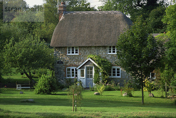 Europa Großbritannien Garten Reetdach England Wiltshire