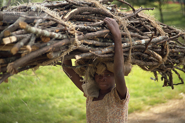 tragen Ast jung groß großes großer große großen Mädchen Afrika Bündel Malawi