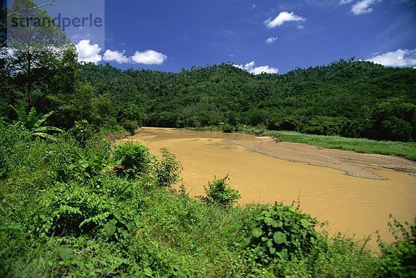 Der Padas River in der Nähe von Tenoa  muddy infolge der Erosion durch Protokollierung  Sabah  Malaysia  Südostasien  Asien