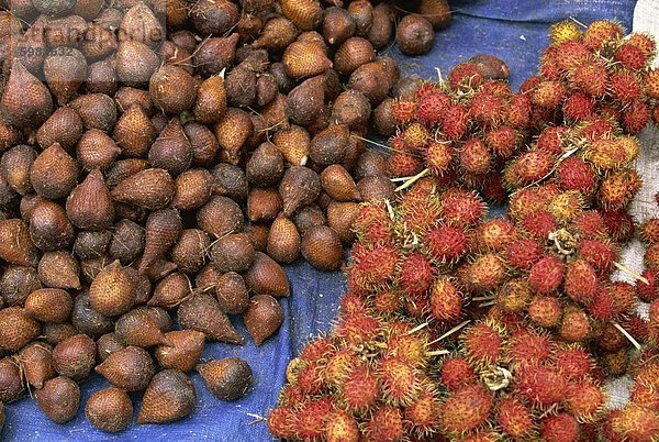 Salak Rambutan die Schlangenhaut und behaarte tropische Früchte auf dem Markt  Haranggaol  Lake Toba  Sumatra  Indonesien  Südostasien  Asien