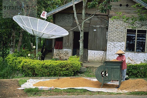 Mann Essgeschirr Maschine Reis Reiskorn Südostasien Asien Indonesien Sumatra