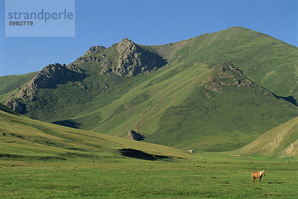 Tash Rabat bei Baschi Range  Tien Shan  südlich von Naryn  Kirgisien  Zentralasien  Asien