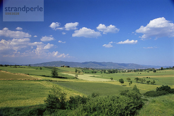 Val di Chiana  Arezzo-Bereich  Toskana  Italien  Europa