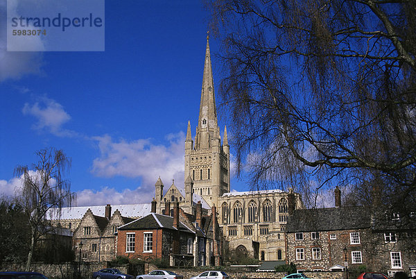 Norwich Kathedrale vom schließen  Norwich  Norfolk  England  Vereinigtes Königreich  Europa