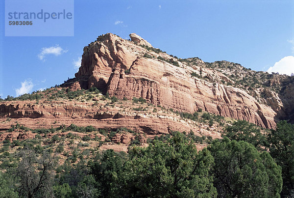 Rote Felsen  Sedona  Arizona  Vereinigte Staaten von Amerika  Nordamerika