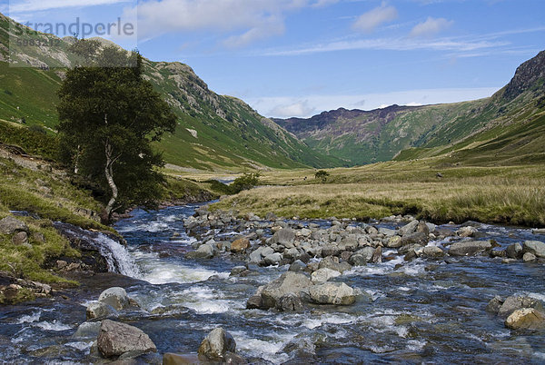 Stonethwaite Valley  Lake District  Cumbria  England  Vereinigtes Königreich  Europa