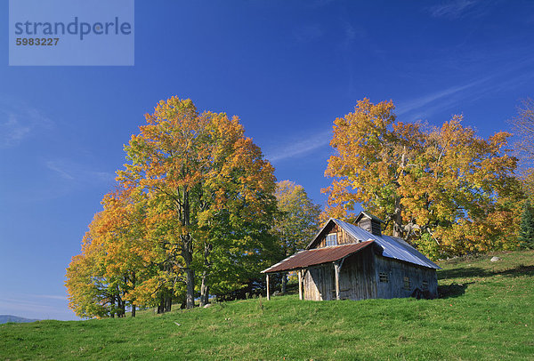 Hölzerne Scheune Gebäude und Bäume im Herbst Farben  Vermont  New England  Vereinigte Staaten von Amerika  Nordamerika