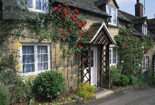 Europa Stein Wand Großbritannien Dorf Rose Landhaus Cotswolds England Gloucestershire