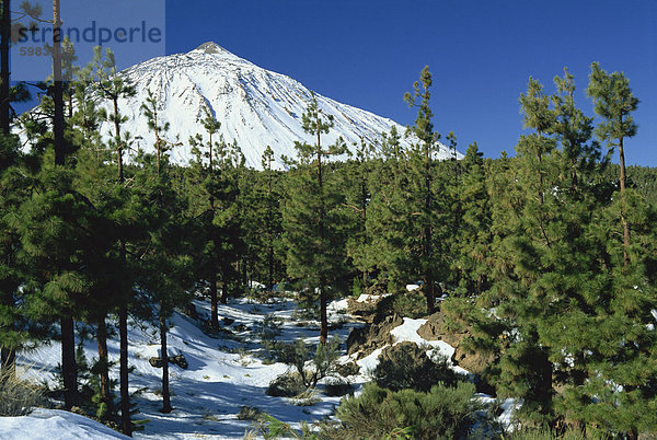 Winterszene  Mount Teide  Teneriffa  Kanarische Inseln  Spanien  Europa