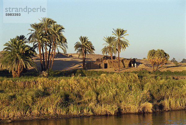 Bank des Nils zeigen kleine Farm Gebäude und Palmen Bäume in der Dämmerung  Ägypten  Nordafrika  Afrika