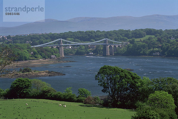 Die Menai-Brücke  Gwynedd  Wales  Vereinigtes Königreich  Europa
