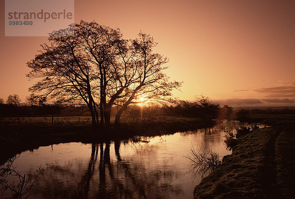 Sonnenaufgang über dem Fluss Wey  Send  Surrey  England  Vereinigtes Königreich  Europa