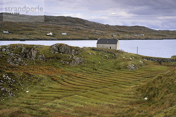 Lazybeds  Reste der alten Anbaumethoden  Ost Küste von South Harris  South Harris  Äußere Hebriden  Schottland  Vereinigtes Königreich  Europa