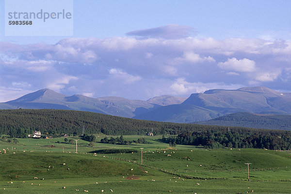 Cairngorm Mountains im Norden  Schottland  Vereinigtes Königreich  Europa