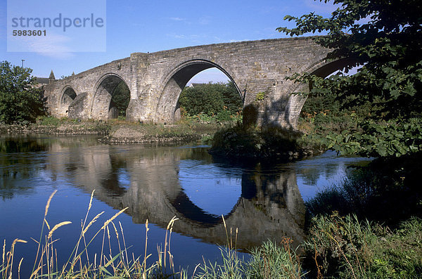 Alte Brücke von Stirling aus dem 15. Jahrhundert  Ort der Schlacht von Stirling 1297 dem Wallace Englisch besiegte Truppen  Stirling  Schottland  Vereinigtes Königreich  Europa