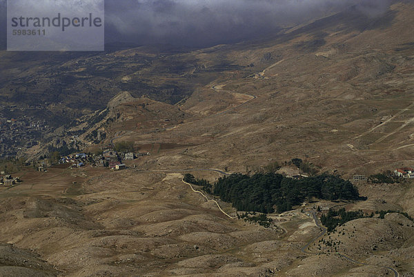 Die letzten verbleibenden Zedernwaldes  nur ein paar Hektar  Libanon  Naher Osten