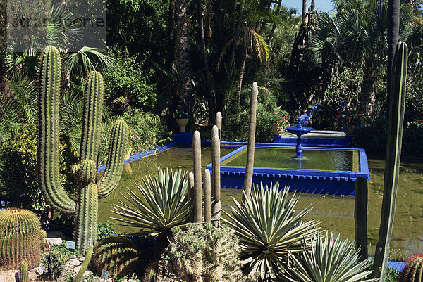 Kakteen und Brunnen im Majorelle Gärten  Marrakesch (Marrakech)  Marokko  Nordafrika  Afrika