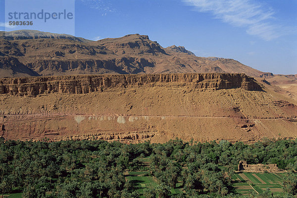 Bäume und Felder unter trockenen Berge  Tinerhir Palmeries auf dem Weg zur Todra Schlucht  Marokko  Nordafrika  Afrika