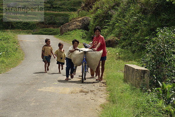 Kleine Gruppe von Kindern mit Belastung Fahrrad und zu Fuß hinauf eine Landstraße  Toraja-Gebiet  Insel von Sulawesi  Indonesien  Südostasien  Asien