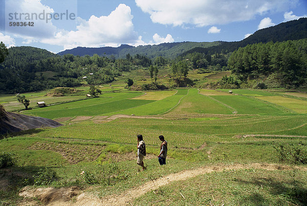 Landwirtschaftliche Landschaft mit zwei Figuren wandern durch Felder  Toraja-Gebiet  Insel Sulawesi  Indonesien  Südostasien  Asien