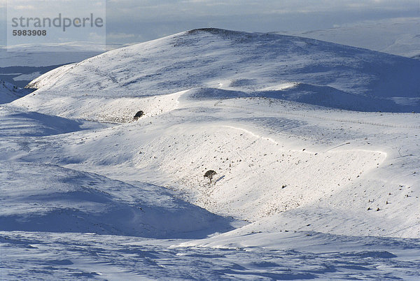 Die Cairngorms im Winter (Skifahren verwendet)  Highlands  Schottland  UK