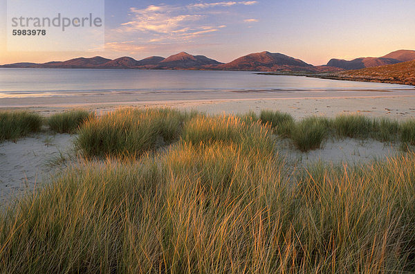 Strandhafer und Strand in der Nähe von Luskentyre  Blick in Richtung North Harris Forest Hills  South Harris  Äußere Hebriden  Schottland  Vereinigtes Königreich  Europa