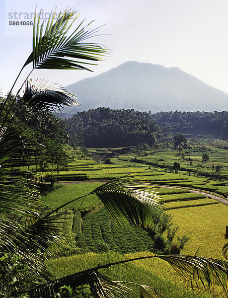 Batur  Bali  Indonesien  Südostasien  Asien