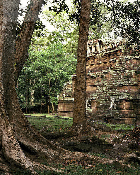 Pimeanakas-Tempel  Angkor Thom  Angkor  UNESCO World Heritage Site  Kambodscha  Indochina  Südostasien  Asien & # 10