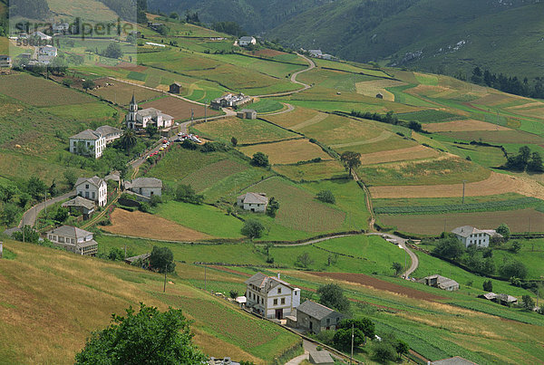 Felder  auf dem Bauernhof und Unterkünfte in Navia Tal (Valle del Navia)  in Asturien  Spanien  Europa