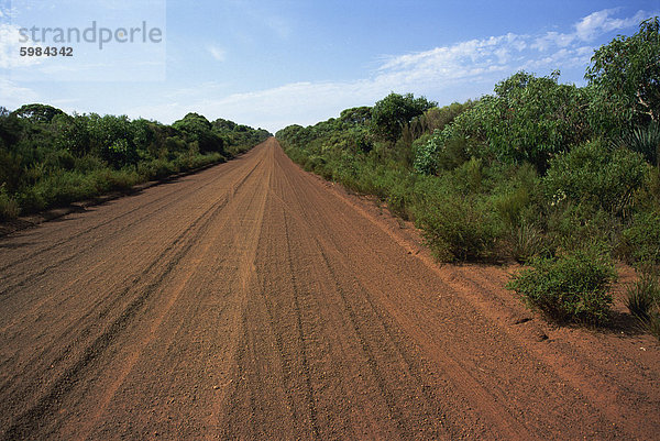 Dirt Road  Flinders Chase  Kangaroo Island  Australien  Australien  Pazifik