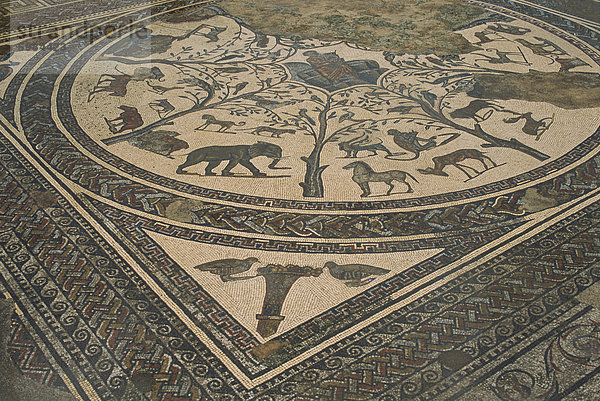 Mosaik Boden  Volubilis  UNESCO Weltkulturerbe  Marokko  Nordafrika  Afrika