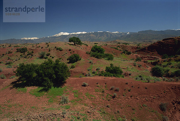 Blick zum hohen Atlas von der Straße auf Marrakesch  Marokko  Nordafrika  Afrika