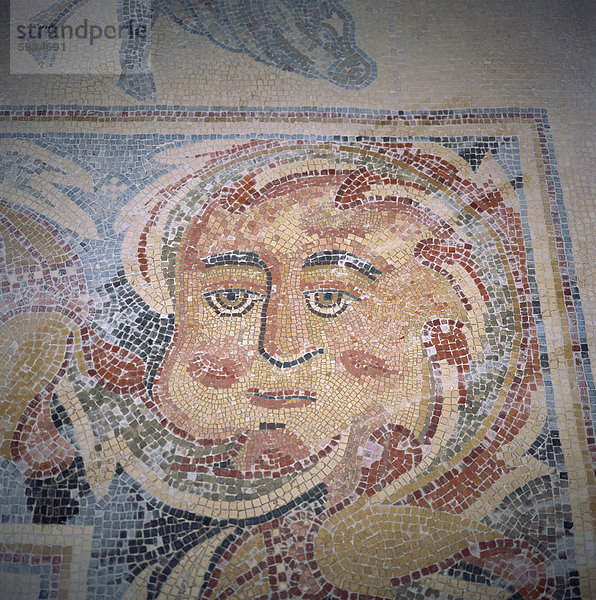 Detail des 6. Jahrhundert Mosaik in Apostel Kirche  Madaba  Jordanien  Naher Osten