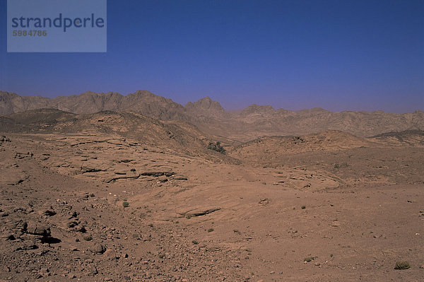 Tal der den Gazellen an der Straße nach St. Katharinen Kloster  Sinai Wüste  Ägypten  Nordafrika  Afrika