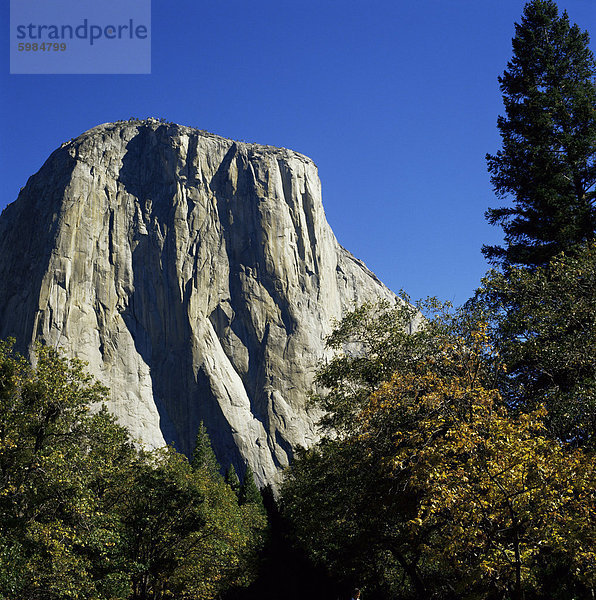 El Capitan  Yosemite National Park  UNESCO World Heritage Site  California  Vereinigte Staaten (USA)  Nordamerika