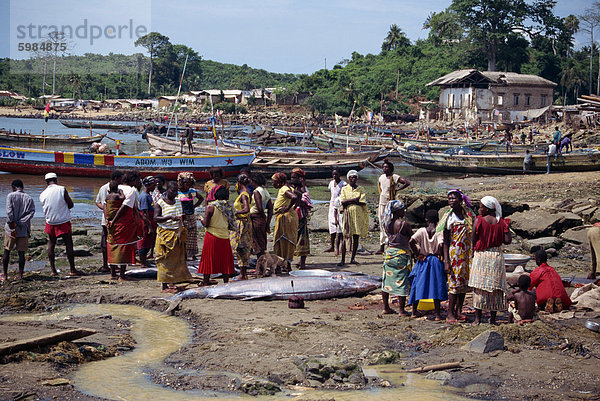 Fischerboote und Catch  Dixcove  Ghana  Westafrika  Afrika