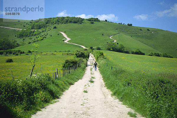 Abbildung auf einem Pfad auf einen Hügel in der South Downs  in der Nähe von Lewes  Sussex  England  Vereinigtes Königreich  Europa