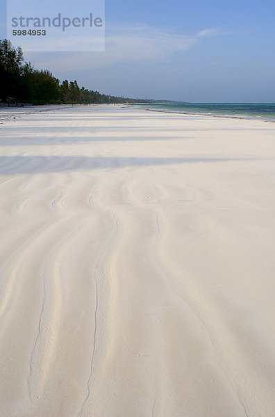 Feiner weißen Sand und Palmen am Strand Matemwe  Zanzibar  Tansania  Ostafrika  Afrika