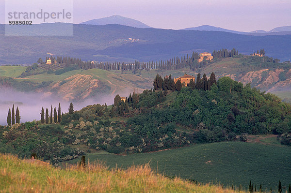 Landschaft der Crete Senesi Gegend südöstlich von Siena  bei Asciano  Toskana  Italien  Europa