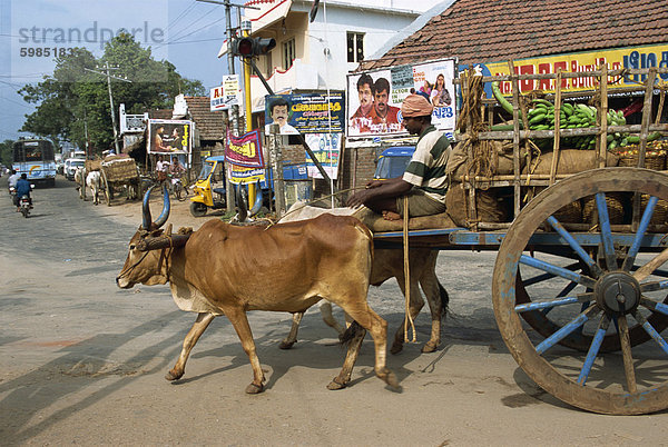 Bullock Einkaufswagen  Kerala Zustand  Indien  Asien