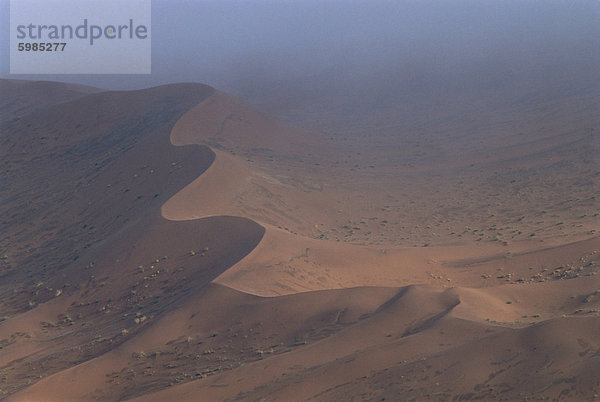 Roten Sanddünen  bis zu 300 m  Sossusvlei  Namib-Naukluft Park Wüste  Namibia  Afrika